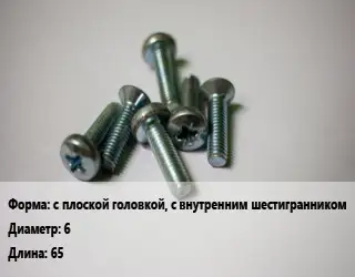 Винт с плоской головкой, с внутренним шестигранником 6х65